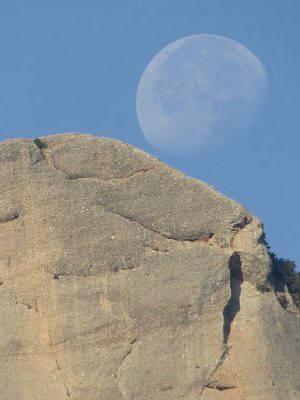 Ser Cráneo Oblongo y Luna